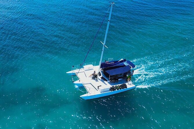 2 Hour Waikiki Whale Watching in Honolulu - Best for: who will love this most