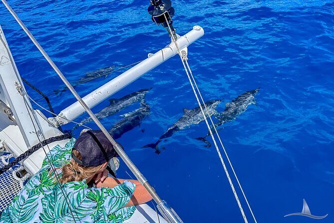 2hr Luxury Private Sailing Catamaran for 7-12 People - What the 2 Hours Actually Feels Like at Sea