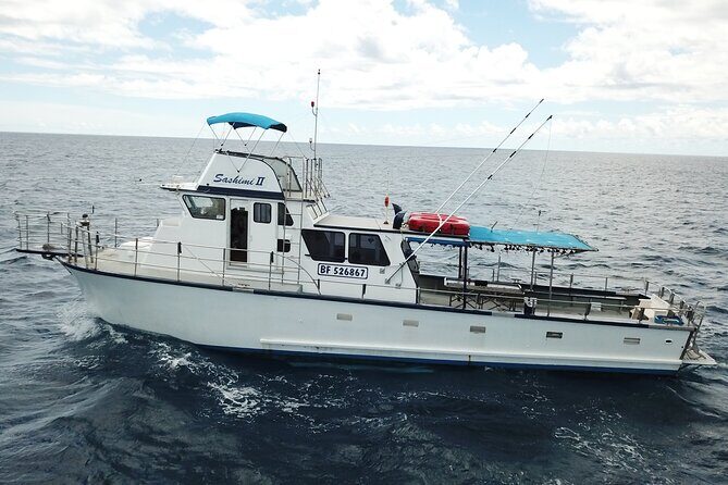3-Hour Honolulu Bottom Fishing Adventure - Getting There: Kewalo Basin Harbor and the 900-FISH Check-In