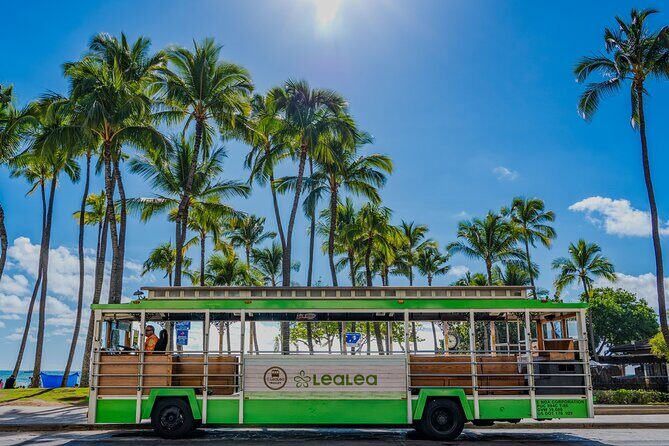 7 Day Pass LeaLea Trolley and Waikiki Trolley Pink Line - Key points worth knowing before you ride