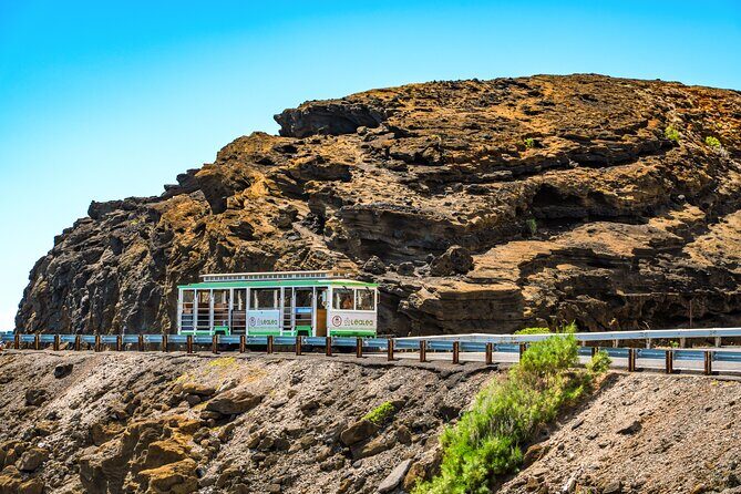 7 Day Pass LeaLea Trolley and Waikiki Trolley Pink Line - Waikiki beyond the beach: Zoo, Aquarium, and Diamond Head approaches