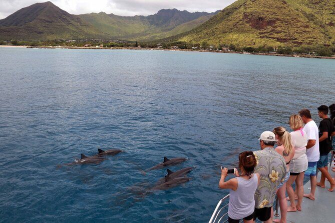 All-Inclusive Sunset Dolphin Watch and Snorkeling Cruise - Should You Book This Ocean Joy Cruises Sunset Dolphin Cruise?