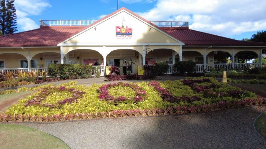 Best of Oahu in One Day - Diamond Head, malasadas, and South Coast classics that set the tone