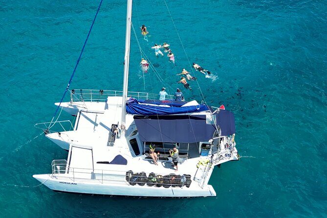 Best Waikiki Snorkel Tour: Guaranteed Turtles at Turtle Canyon - Snorkeling for sea turtles: what to expect once you’re in the water