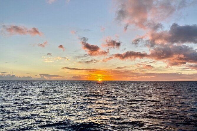 BYOB Sunset Cruise Waikiki - Getting there: Ala Moana meeting point without drama