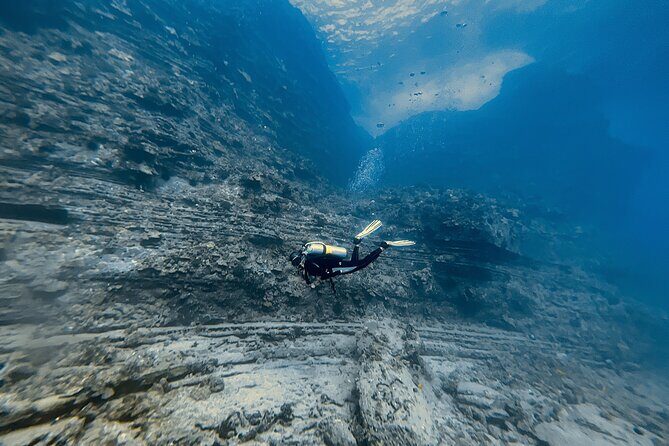 Certified Scuba Diving Experience in Honolulu - The second session: shallower reef at 30–50 feet