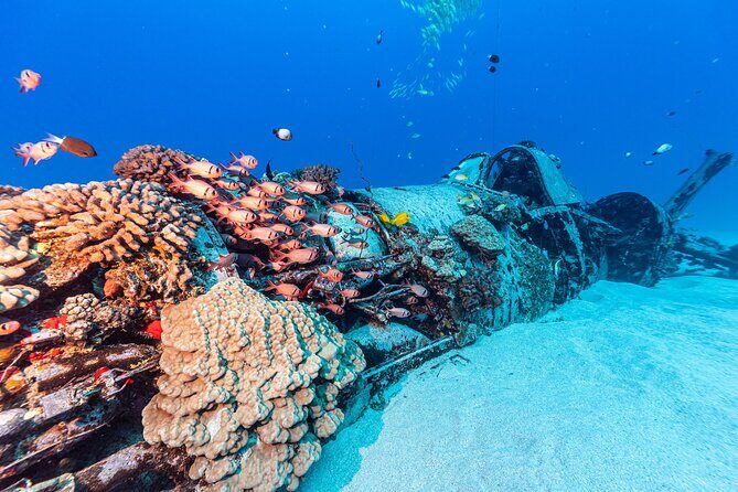 Certified Scuba Diving Experience in Honolulu - Physical readiness: what “moderate fitness” means for you