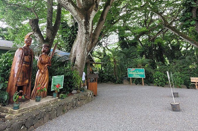 Circle Island 8hr Private Small Group Tour - Waimea Bay and Waimea Falls: North Shore views with waterfall time
