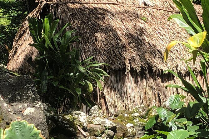 Circle Island tours - swim with turtles,Private & Small Group Tours - Private transportation value: is $150 per person a fair deal?