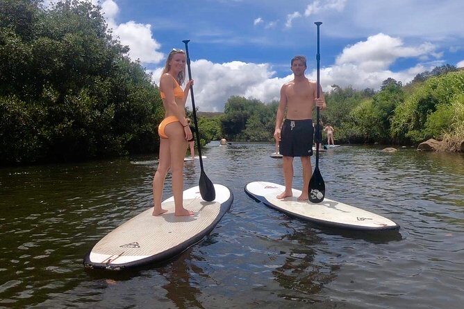 Custom Private Multi Day Tours on the island of Oahu Hawaii - Pickup, Timing, and Why Line-Sniffing Matters on Oahu