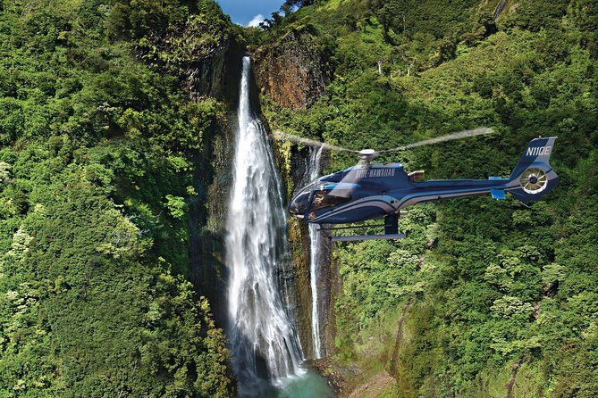 Day Trip fr Oahu to Kauai: Highlights & Movie Sites w/ Helicopter - Opaeka’a Falls and Lydgate Farms: a solid start in the air-conditioned world