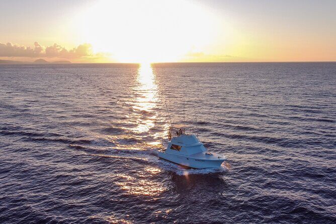 Deep Sea Shared Fishing Charter in Honolulu - The fish targets: mahi mahi, ono, tuna, and a marlin shot