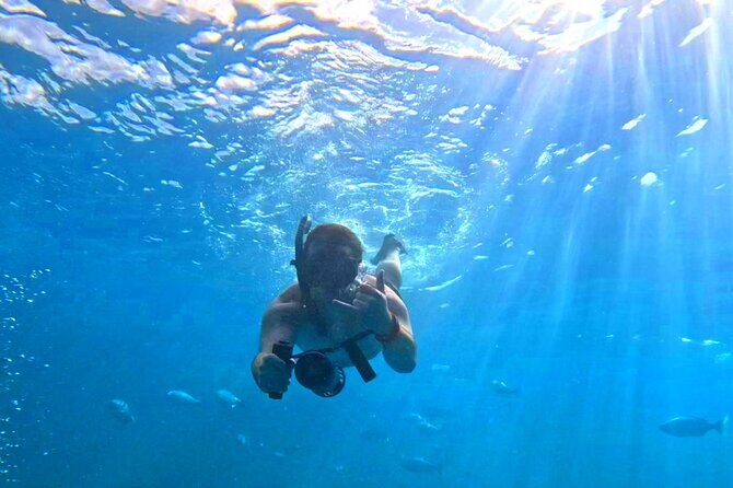 Deluxe Turtle Snorkeling Escapade at Waikiki - Snorkel Gear, Life Vests, and the Food/Drink Mix That Actually Helps