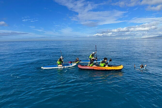 Deluxe Turtle Snorkeling Escapade at Waikiki - Pickup Timing and Pier D Check-In: Do This Early
