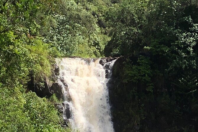 Diamond head crater trail , Sightseeing & South Side beach day - Who should book this Diamond Head plus beach day
