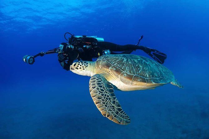 DISCOVER Scuba Diving Experience in Honolulu - Who Should Book This Intro Scuba Experience