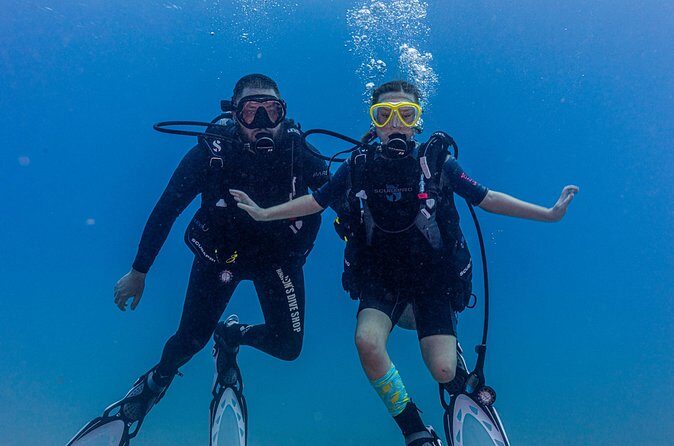 Discover Scuba Diving in Hawaii - Non certified divers! - Price and value: is $237.69 worth it?