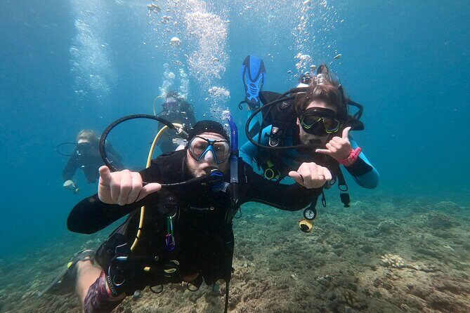 Discover Scuba Diving in Hawaii - Non certified divers! - Learning the basics the right way: safety first, skills second