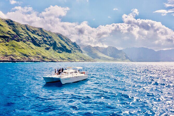 Dolphin Watching and Snorkeling on the West Coast of Oahu - Price and Value Check: Is $156.02 a Fair Deal?
