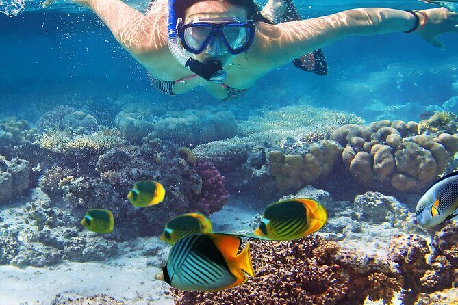 Explore Turtle Canyons Waikiki Snorkel and Sail Adventure - When the Water Is Murky: Your Backup Plan Is Sailing