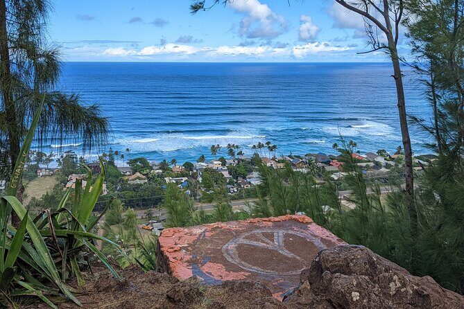 Famed North Shore Tour - The flow of the day: pickup, travel time, and flexible pacing