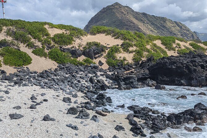 Famed North Shore Tour - Haleiwa: surf-town shopping, local food, and old-school charm