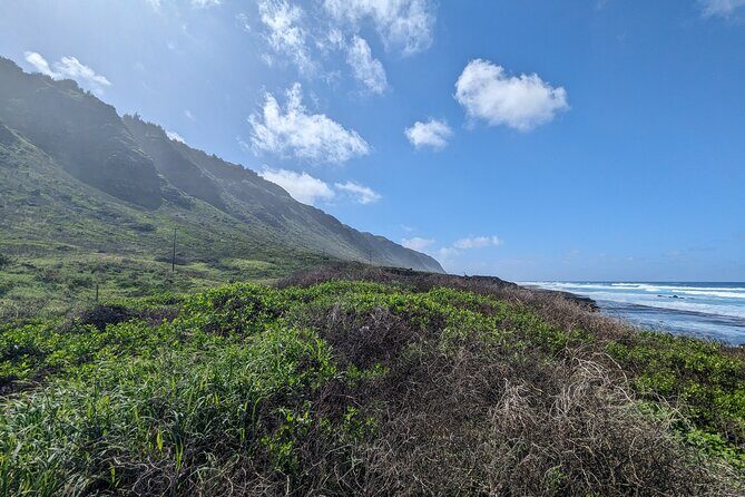 Famed North Shore Tour - Shark’s Cove: clear-water fish watching and the tidal pool option