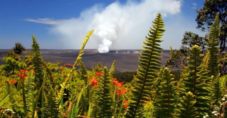From Oahu: Big Island Volcano Adventure - Key things that make this Big Island day work