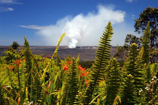From Oahu: Big Island Volcano Adventure - Black sand beach: your finale in volcanic rock
