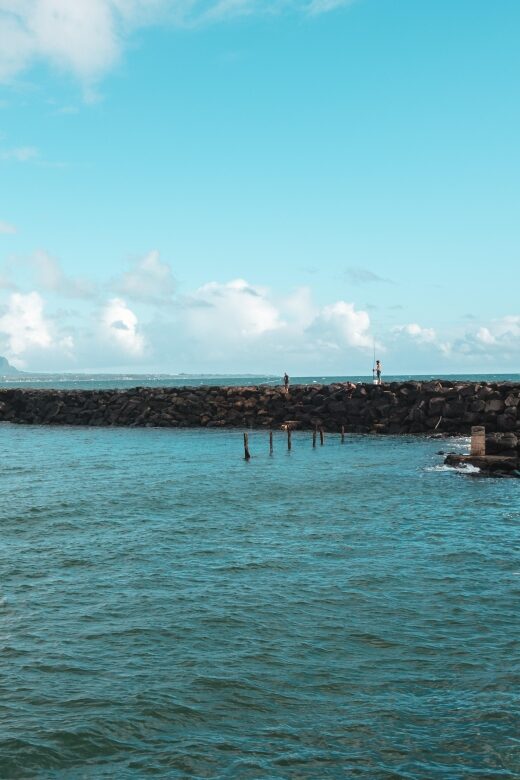 From Oahu: Kauai Highlights & Movie Sites - Key highlights to look for