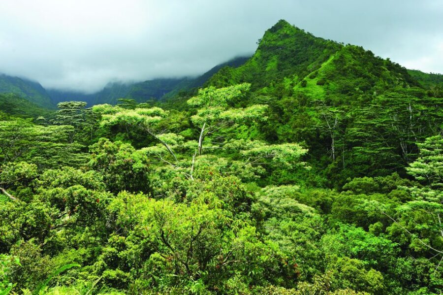 From Oahu: Kauai Highlights & Movie Sites - Practical tips so the day goes smoothly