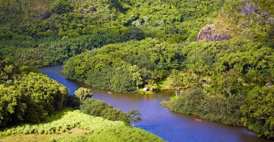 From Oahu: Kauai Waimea Canyon & Wailua River Tour - Old Kōloa Town: your lunch break and the local rhythm