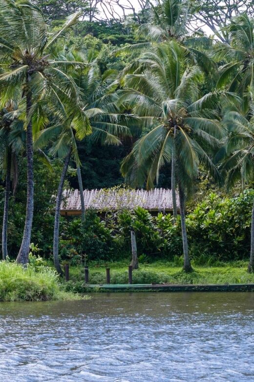 From Oahu: Kauai Waimea Canyon & Wailua River Tour - Kaua‘i Coffee Company stop: small time investment, tasty break