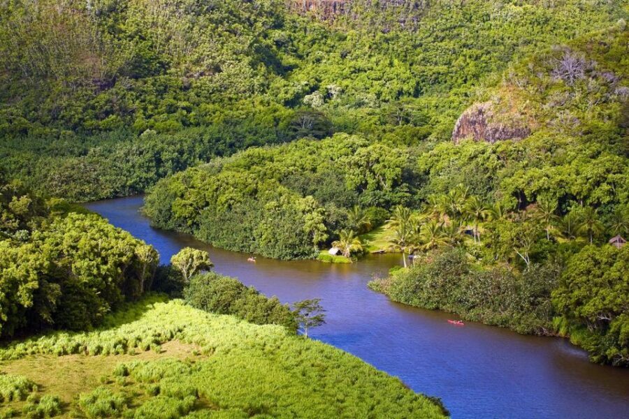 From Oahu: Kauai Waimea Canyon & Wailua River Tour - Wailua River cruise: the gentler Kauai you’ll want to linger on