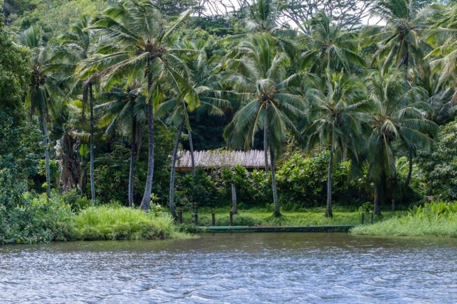 From Oahu: Kauai Waimea Canyon & Wailua River Tour - Fern Grotto and the long-tail boat ride: ferns, lava rock, and crowds to consider