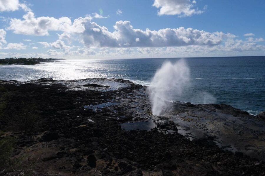 From Oahu: Kauai Waimea Canyon & Wailua River Tour - Price and logistics: what you’re paying for