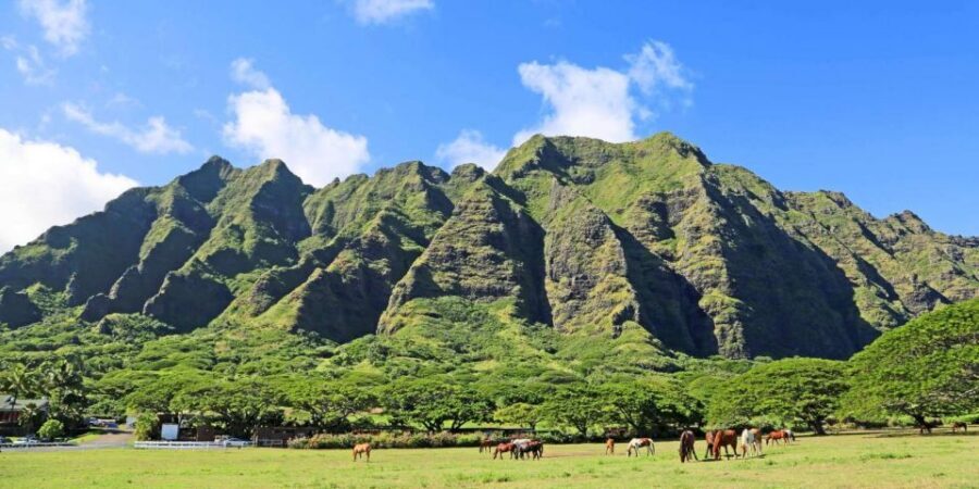 From Waikiki: Circle Island Tour - Small-Group Comfort and the Value of a New Vehicle