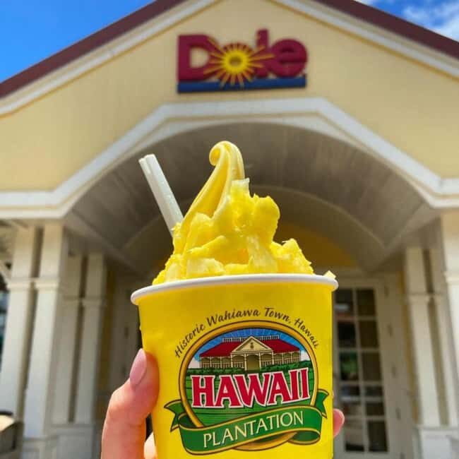 From Waikiki: Oahu Circle Island Tour - The smart way to see Oahu from Waikiki