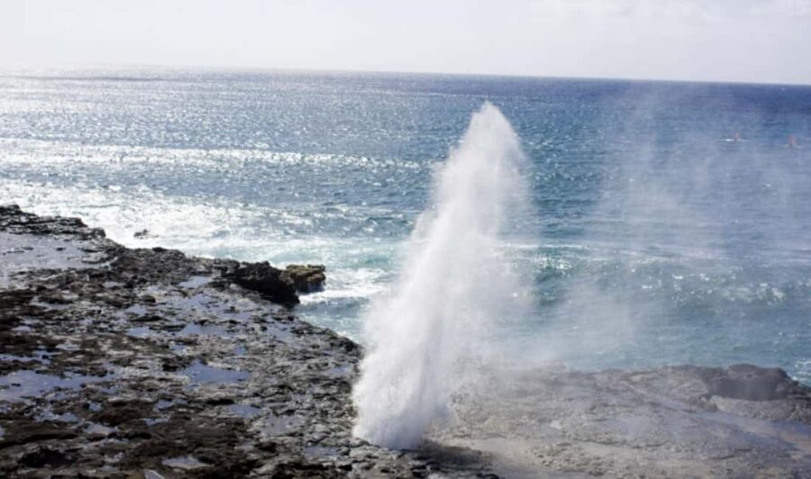 From Waikiki: Oahu Scenic Half-Day Circle Island Tour - Waikiki pickup times: 6:05 AM for calmer roads