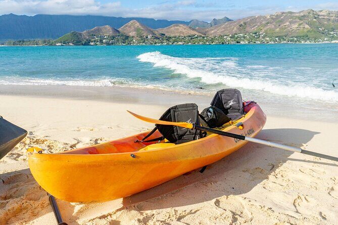 Guided Kayak Tour to Kailua’s Twin Islands - Price and what $219 gets you in the real world