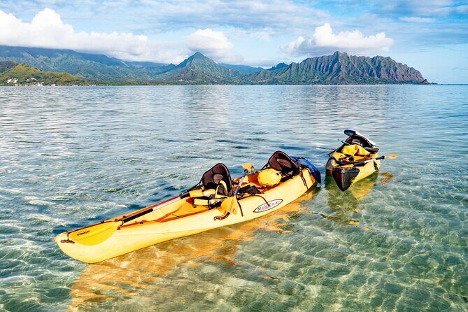 Half-Day Kaneohe Bay Sandbar Self-Guided Kayaking Experience - Price value at $96: what you’re really paying for
