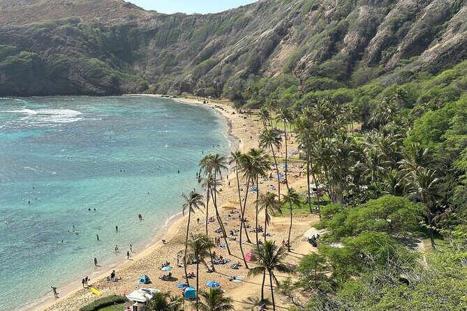 Hanauma Bay Snorkel Lesson - Price check: $84.95 and whether it’s good value
