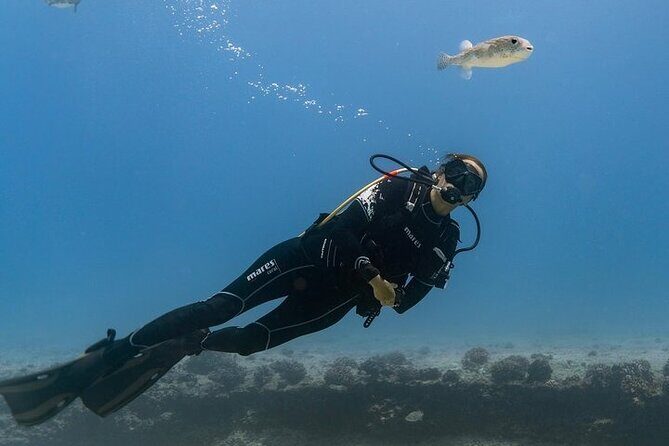 Hawaii DISCOVER Beginner + Certified 2 Tank Shallow Scuba Diving - Key highlights worth your attention
