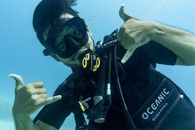 Hawaii DISCOVER Beginner + Certified 2 Tank Shallow Scuba Diving - Marine life targets: what to look for off Oahu