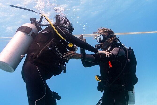 Hawaii DISCOVER Beginner + Certified 2 Tank Shallow Scuba Diving - Price and what $299 buys you in the real world