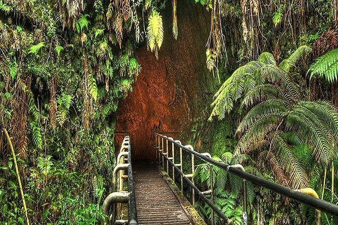 Hawaii Volcanoes National Park Experience from Kauai - Stop 2: Manuka State Wayside Park and the 2-mile nature trail