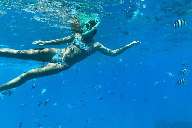 Hawaiian Culture & Snorkel Adventure with Photo/Videos - The 90-minute Oahu plan: what actually happens in the water