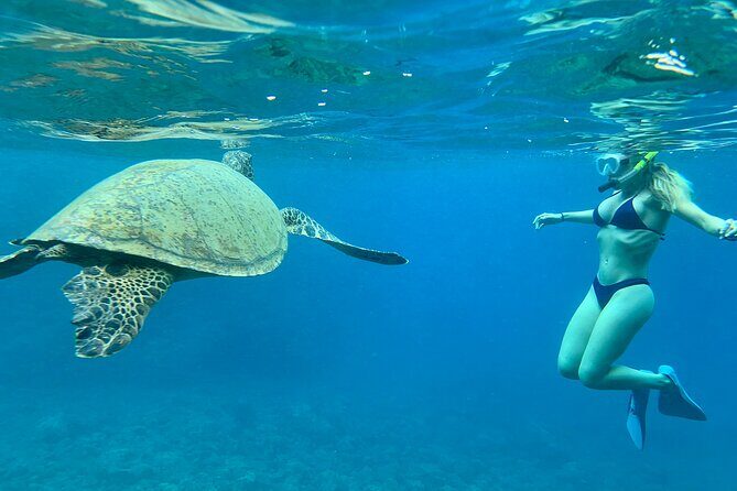 Hawaiian Culture & Snorkel Adventure with Photo/Videos - Meeting point in Kapolei and how the start sets your expectations