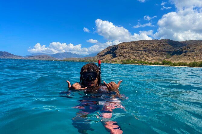 Hawaiian Culture & Snorkel Adventure with Photo/Videos - What you might see: fish, sacred green sea turtles, dolphins, and sting rays