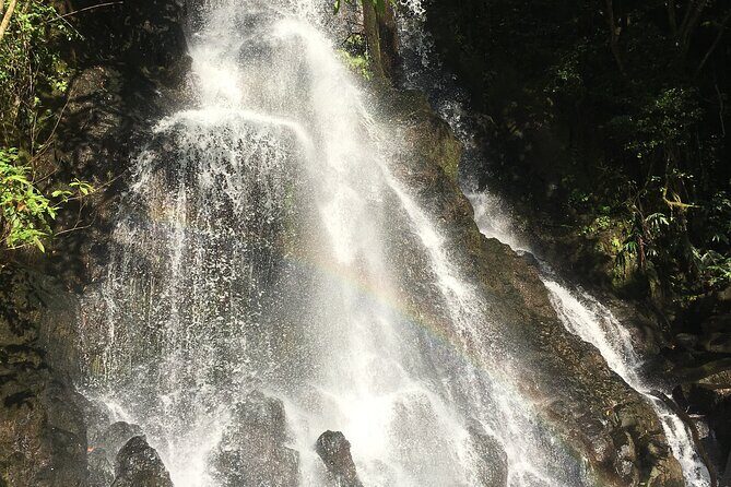 Hidden Hawaii Tours - The Guide Makes the Difference (Especially With Language Barriers)